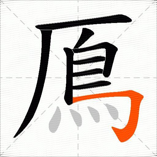 鳫