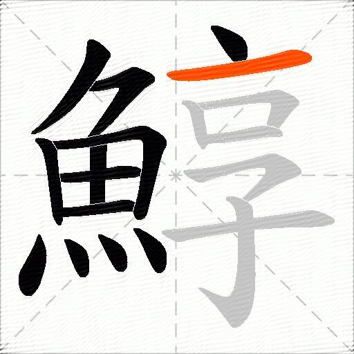 鯙