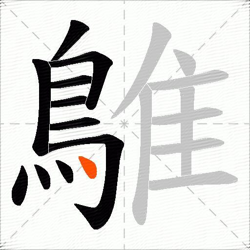 鵻