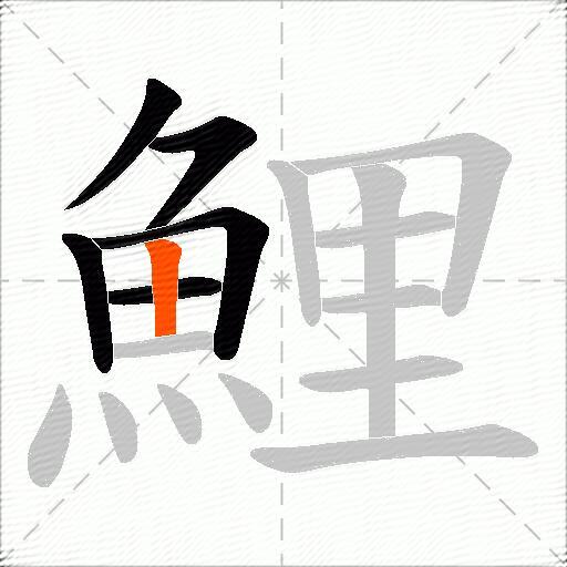 鯉