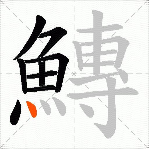 鱄