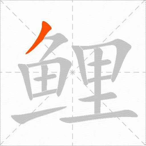 鲤