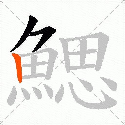 鰓