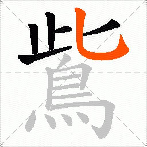 鴜