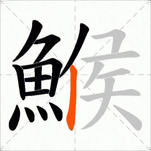 鯸