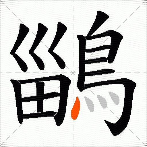 鶅