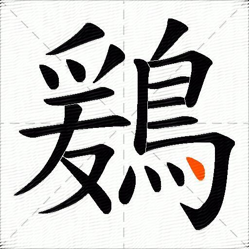 鶢