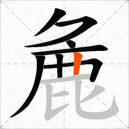 麁