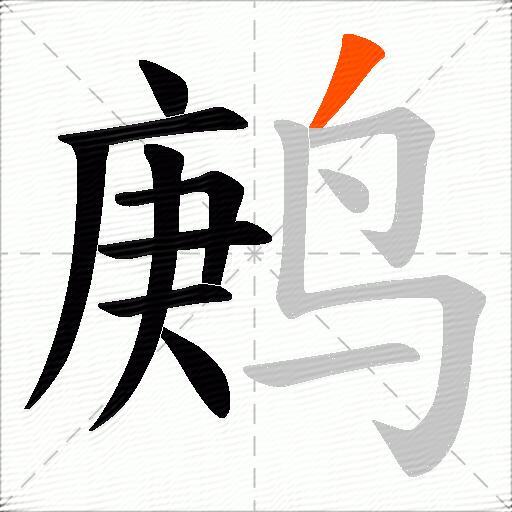 鹒