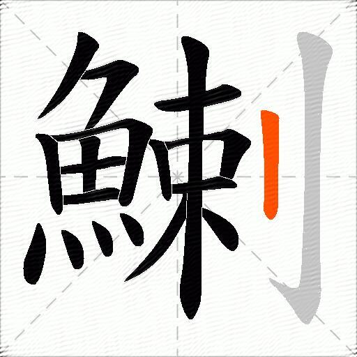 鯻