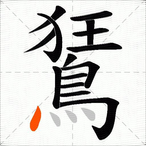 鵟
