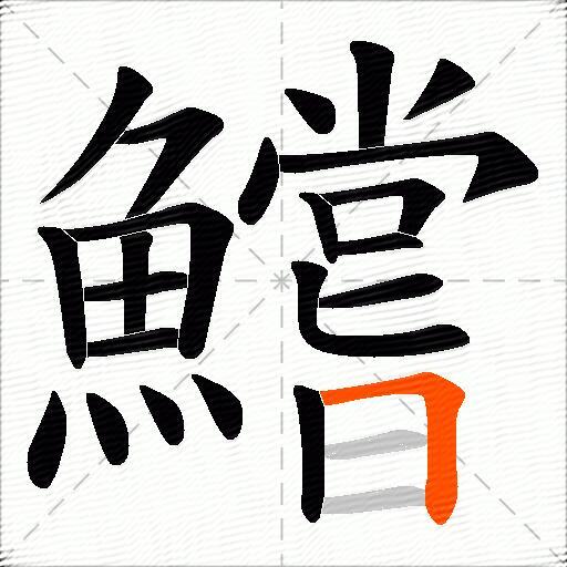 鱨