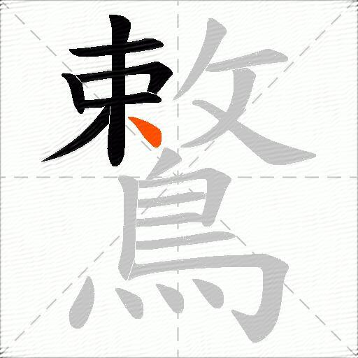 鷘
