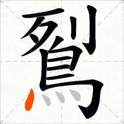鴷