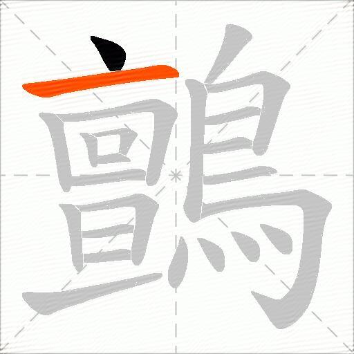 鸇