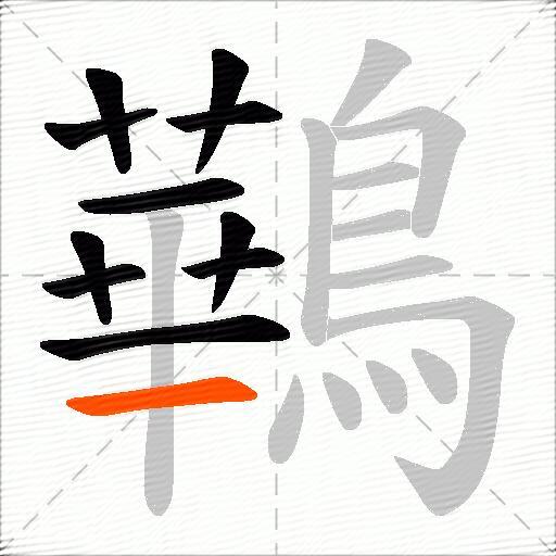 鷨