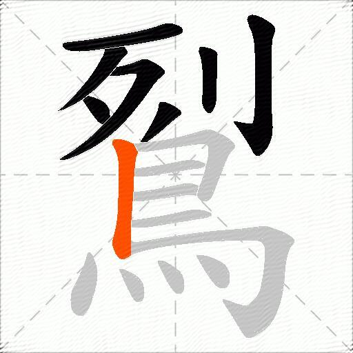 鴷