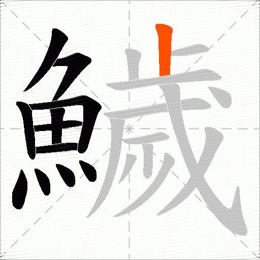 鱥