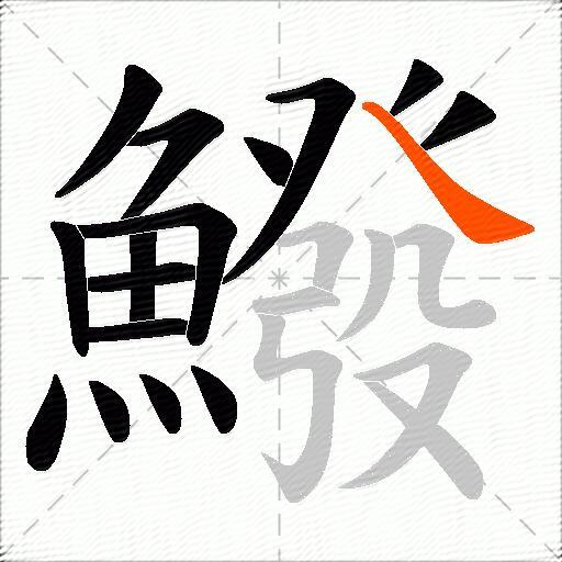 鱍