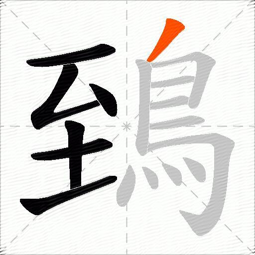 鵄