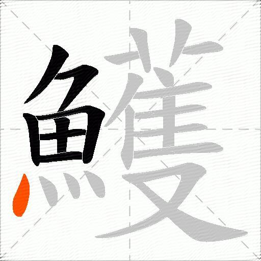 鱯