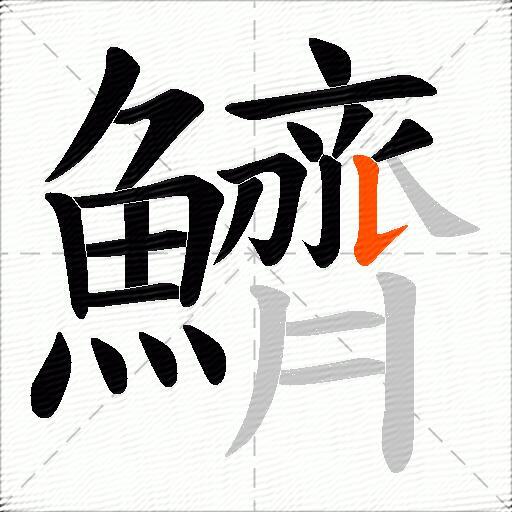 鱭