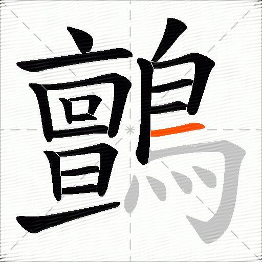 鸇