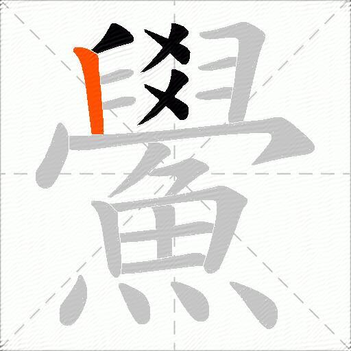 鱟