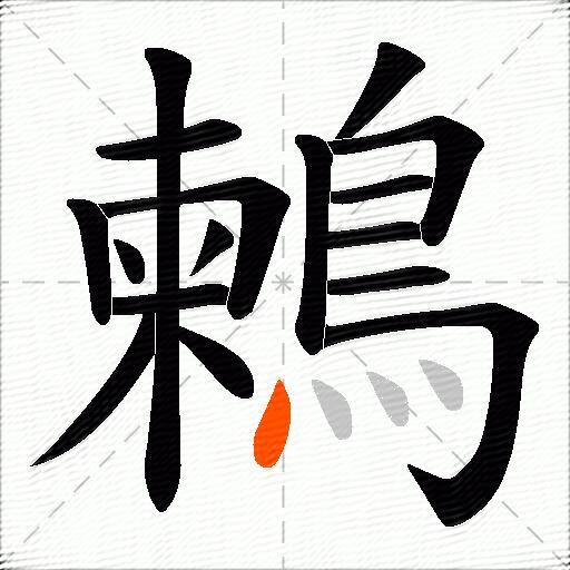 鶫