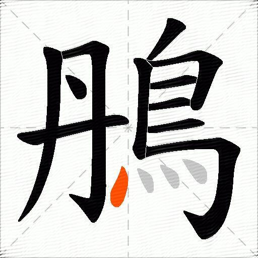 鴅