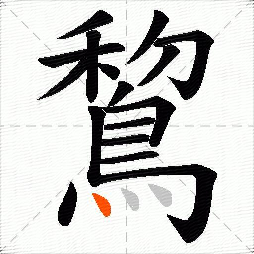 鵹
