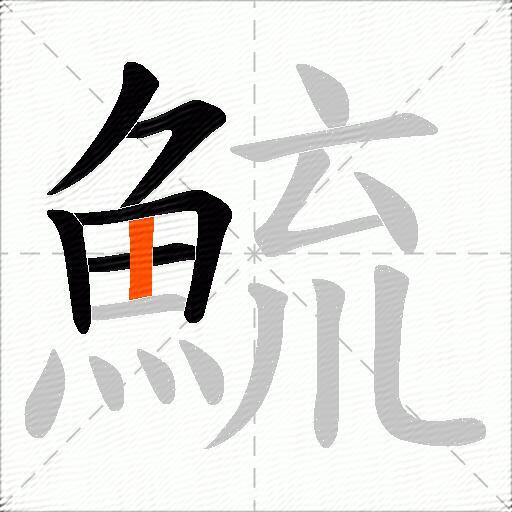 鯍