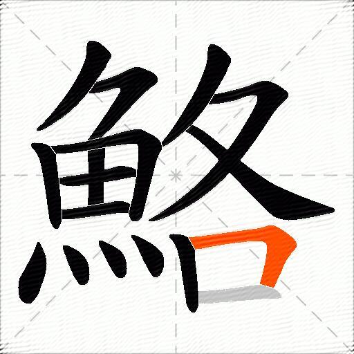 鮥