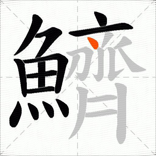 鱭