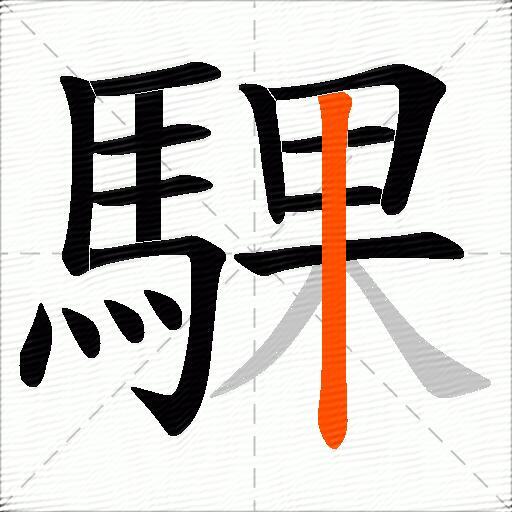 騍