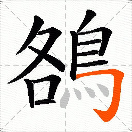 鵅