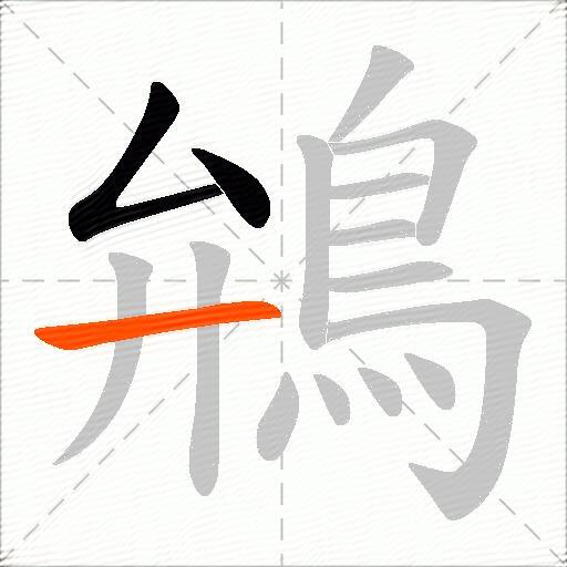鴘