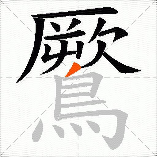 鷢