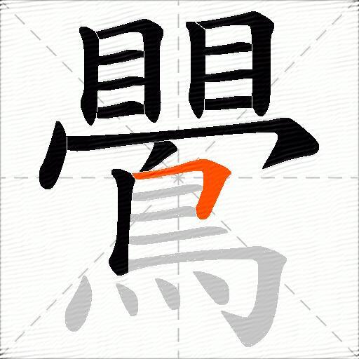 鷪