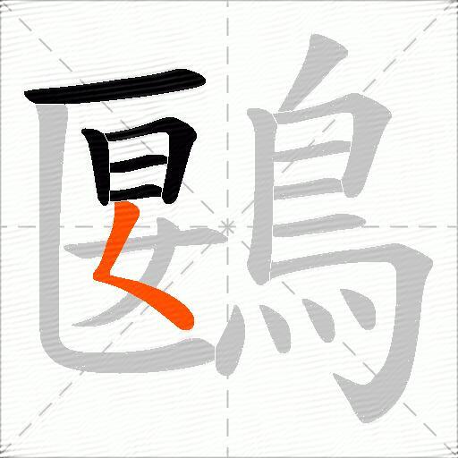 鶠