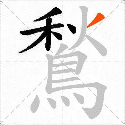 鶖