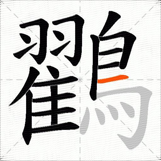鸐