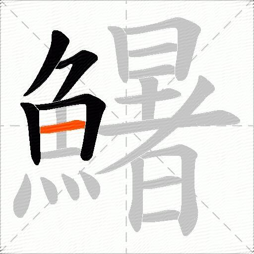 鱪