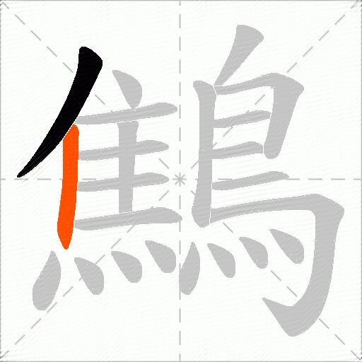 鷦