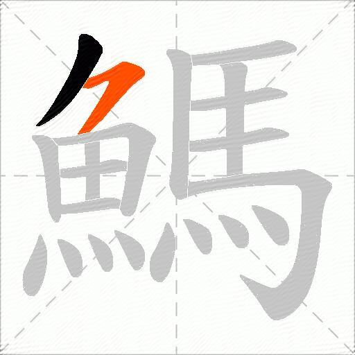 鰢