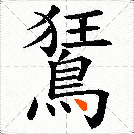 鵟