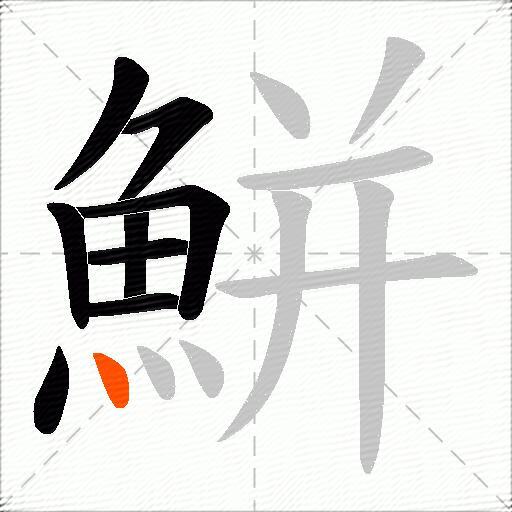 鮩