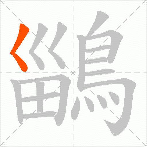 鶅