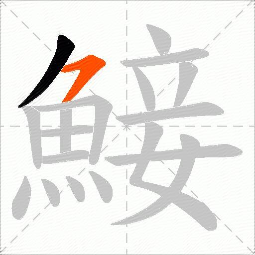 鯜