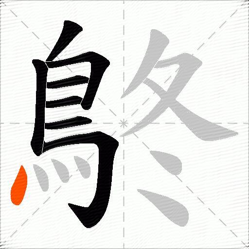 鴤